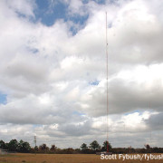 Site of the Week 1/18/2013: Jacksonville, Florida, 2011 (part 3)