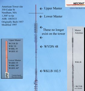 cedar-infograph
