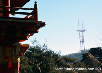 Sutro, from the Japanese Tea Garden