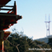 Sutro, from the Japanese Tea Garden