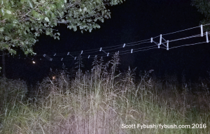 A WTWW antenna in the dark