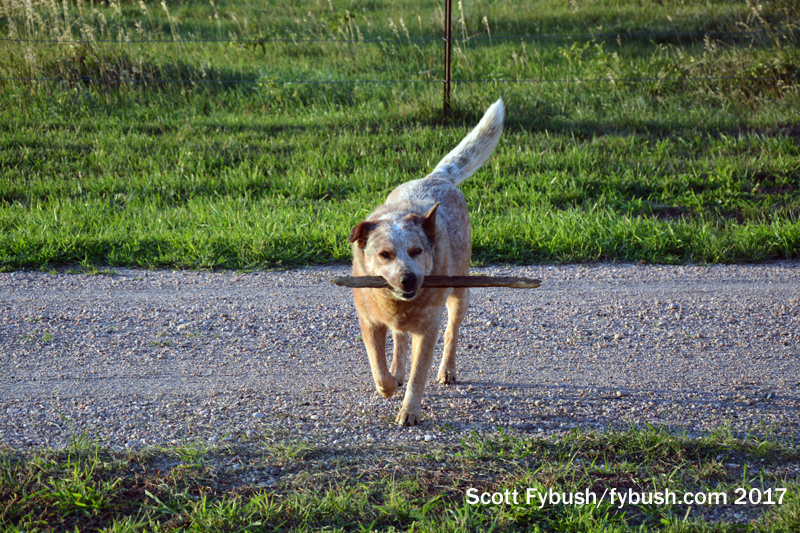 Site of the Week 12/22/2017: KRVN, Lexington, NE