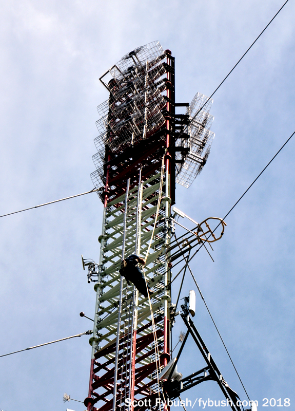 NERW 6/11/18: Translators Moving Forward Again