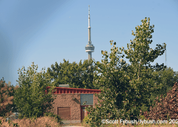 Site of the Week 3/31/2023: More Toronto-Area AM Sites