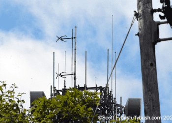 Site of the Week 3/28/2025: A Day in Northwest New Jersey